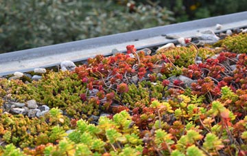 the cost of Swingfield Street green roof installation